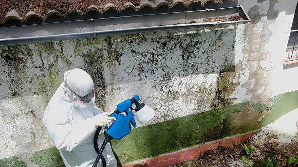 Top rated local Mold Cleanup specialists in Nottingham, PA
